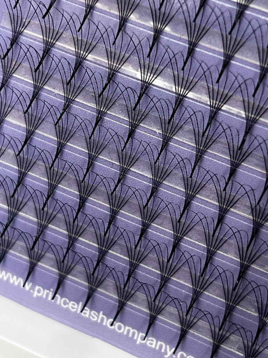 a closeup of a tray of eyelash extensions, 12 rows, 120 lashes per tray, promade lashes